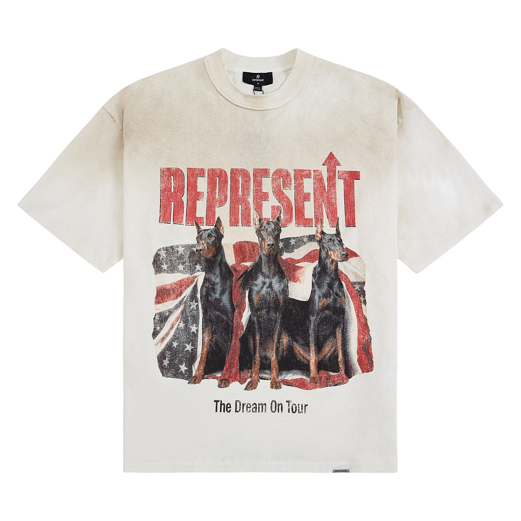 Dream On Tour T-Shirt | Washed Ecru product image 1, provided for visual reference and product detail review