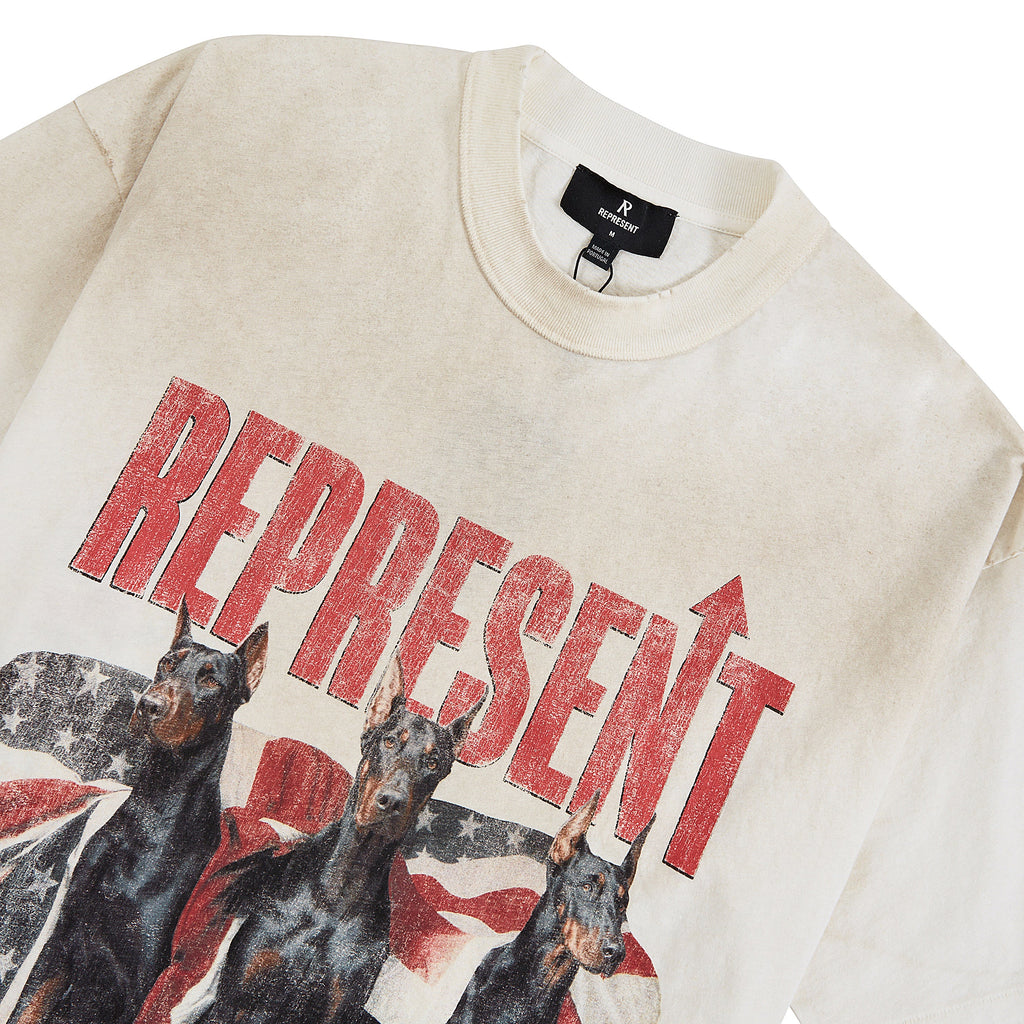 Dream On Tour T-Shirt | Washed Ecru product image 3, provided for visual reference and product detail review