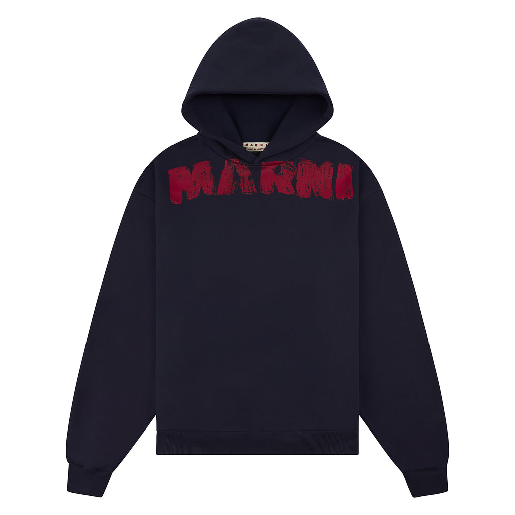 Paintbrush Hoodie product image 1, provided for visual reference and product detail review