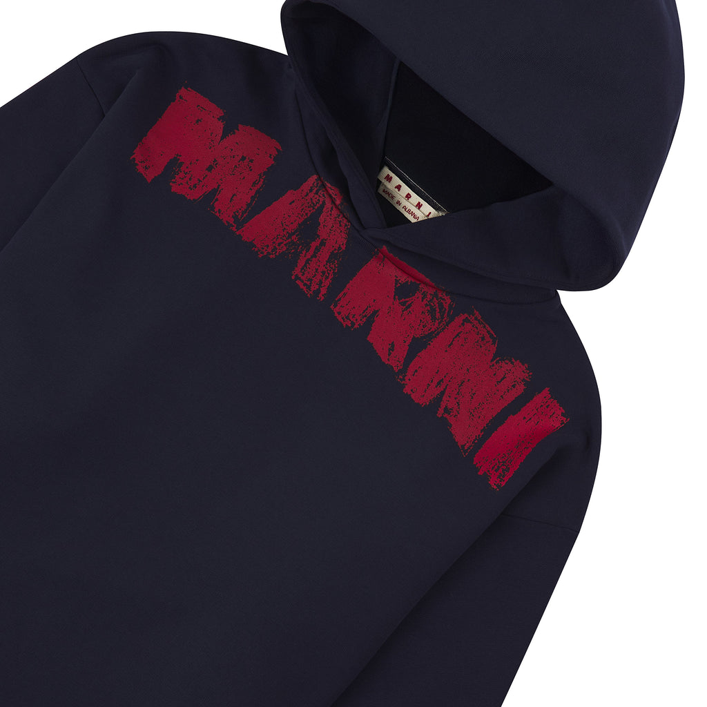 Paintbrush Hoodie product image 3, provided for visual reference and product detail review