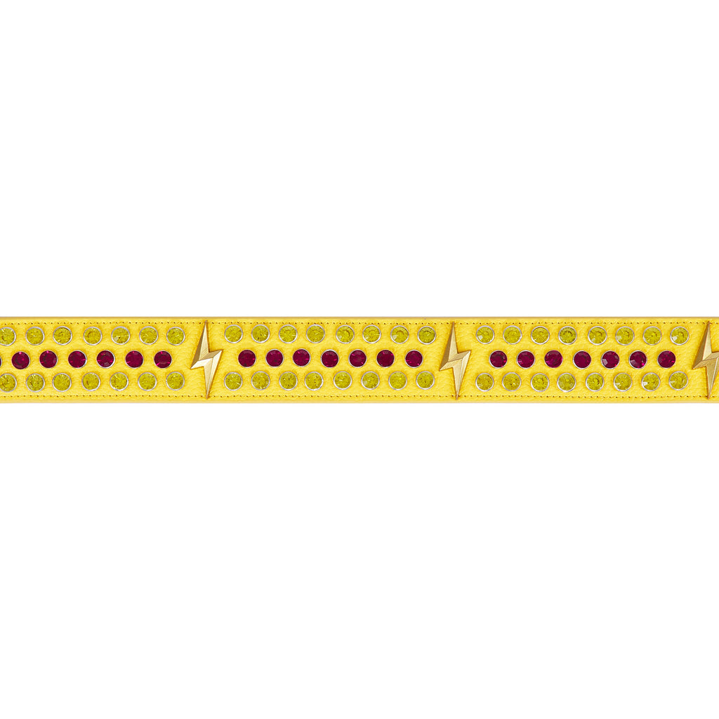 Pika Belt product image 5, provided for visual reference and product detail review