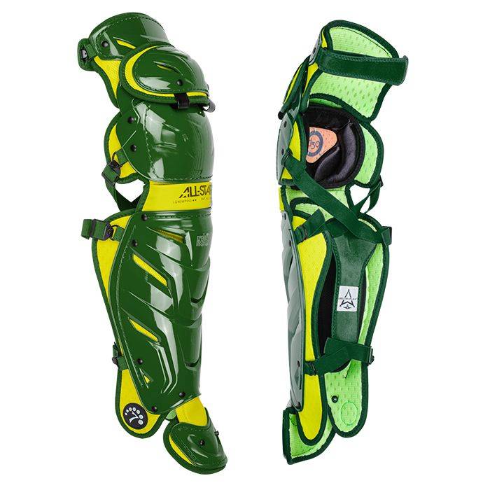 Pro Model System 7 Axis Leg Guards product image 6, provided for visual reference and product detail review