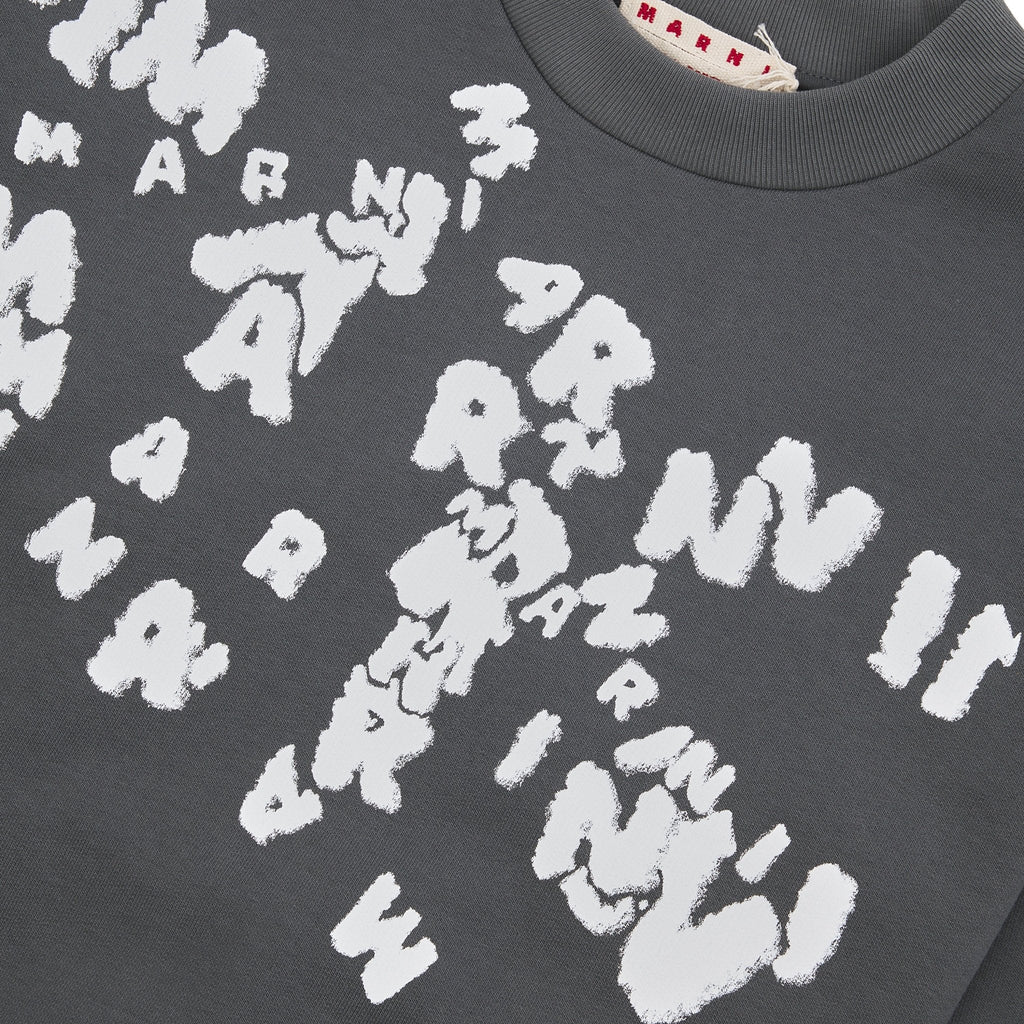 Chaos Logo Sweatshirt | Neutral Grey product image 3, provided for visual reference and product detail review