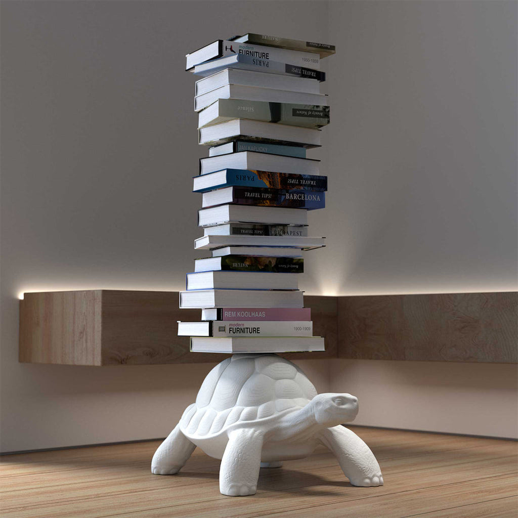 Turtle Carry Bookcase