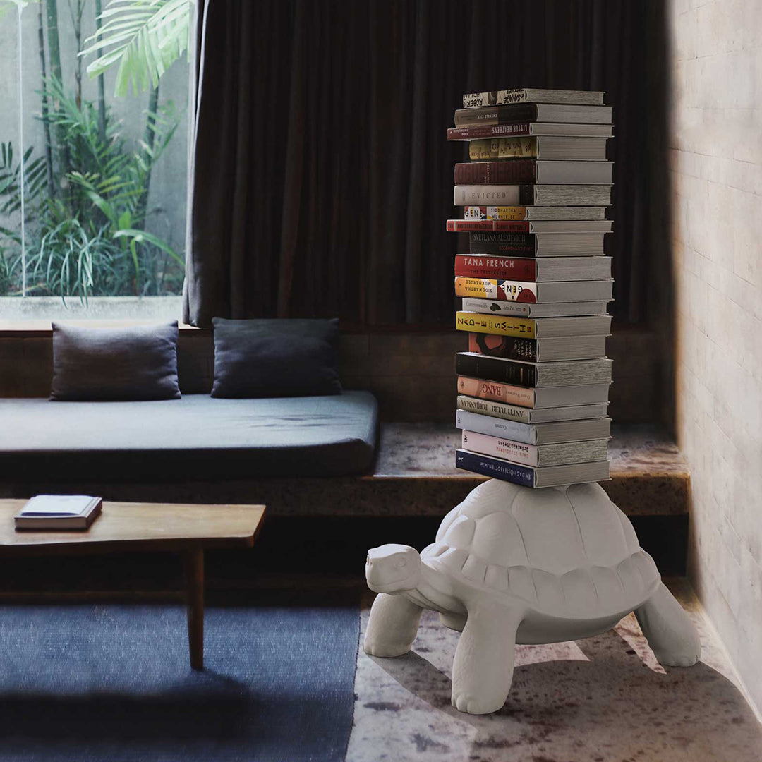 Turtle Carry Bookcase