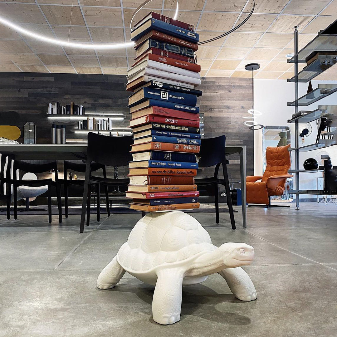 Turtle Carry Bookcase