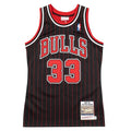 Scottie Pippen 1995 Auth Chic. Bulls Jersey | Pinstripe product image 1, provided for visual reference and product detail